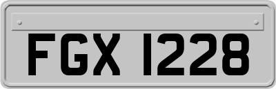 FGX1228