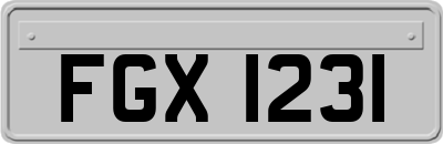 FGX1231