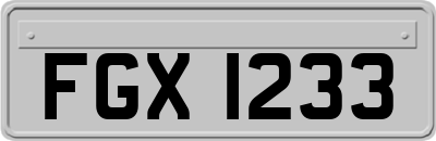FGX1233