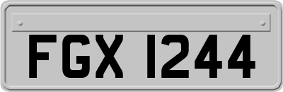 FGX1244