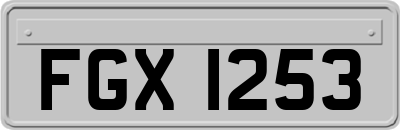 FGX1253