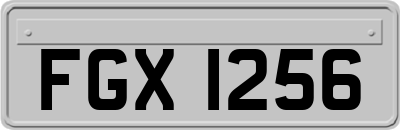FGX1256