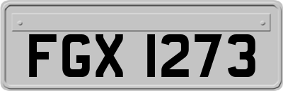 FGX1273