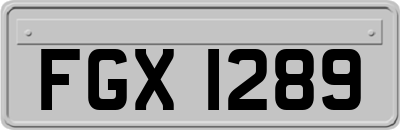 FGX1289