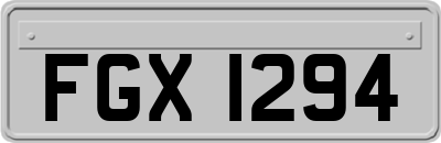 FGX1294