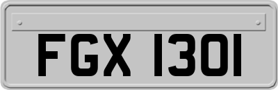 FGX1301