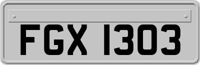FGX1303