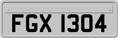 FGX1304