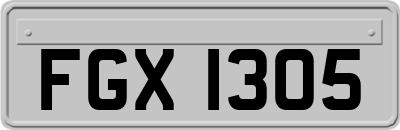 FGX1305