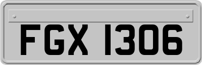 FGX1306