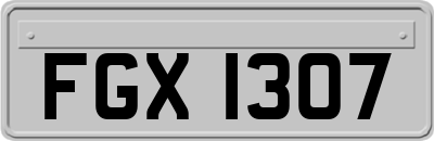 FGX1307