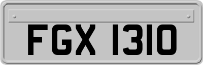 FGX1310