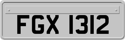 FGX1312