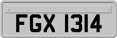 FGX1314