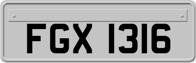 FGX1316