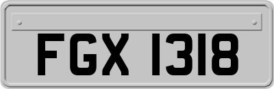 FGX1318