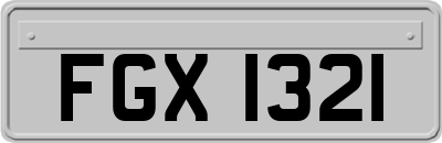 FGX1321