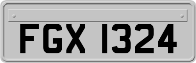 FGX1324