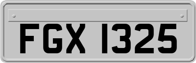 FGX1325
