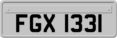 FGX1331