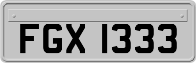 FGX1333