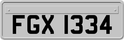 FGX1334