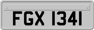 FGX1341