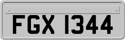 FGX1344