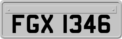 FGX1346
