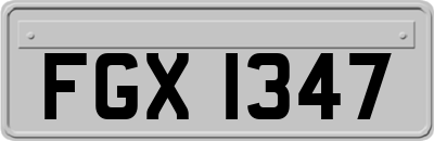 FGX1347