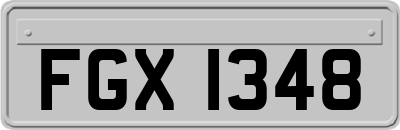 FGX1348
