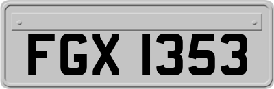 FGX1353
