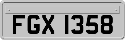 FGX1358