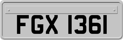 FGX1361