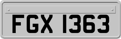 FGX1363