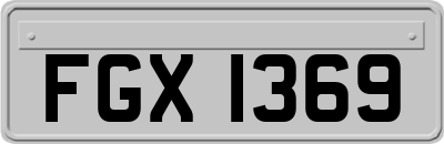 FGX1369