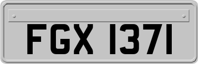 FGX1371