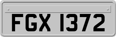 FGX1372
