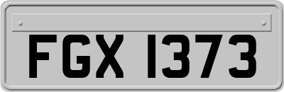 FGX1373