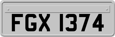 FGX1374