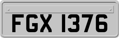 FGX1376