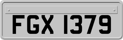 FGX1379