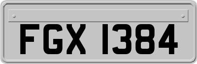 FGX1384