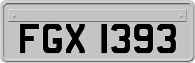 FGX1393
