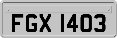 FGX1403