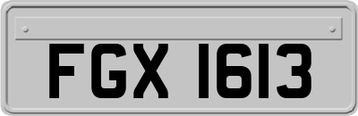 FGX1613