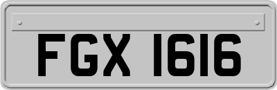 FGX1616
