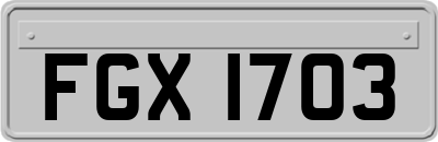FGX1703