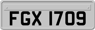 FGX1709