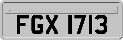 FGX1713